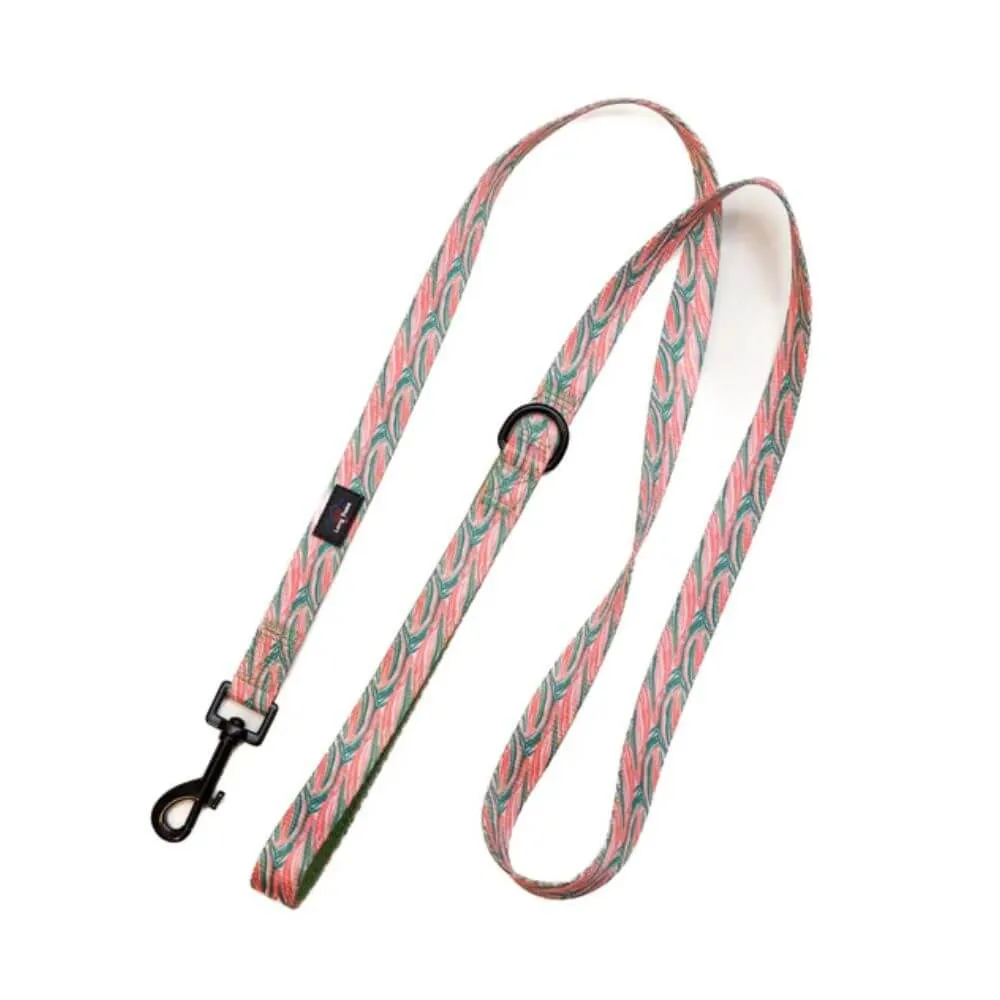 Long Paws Funk The Dog Lead in Pink Green Zebra