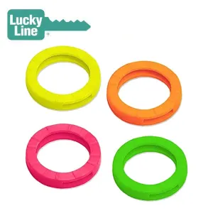 LuckyLine - 16706 - Key Identifiers - Medium - Assorted Neon - 4 Pack